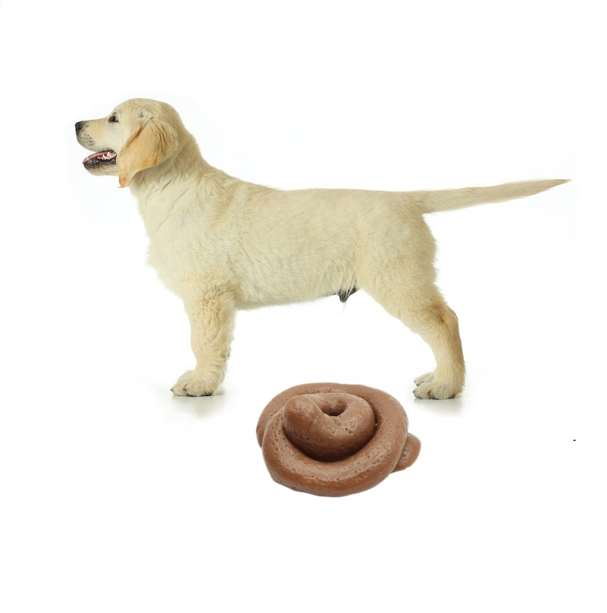 Jouet moelleux drôle en forme - Fake Poop Gag Gift avis et prix
