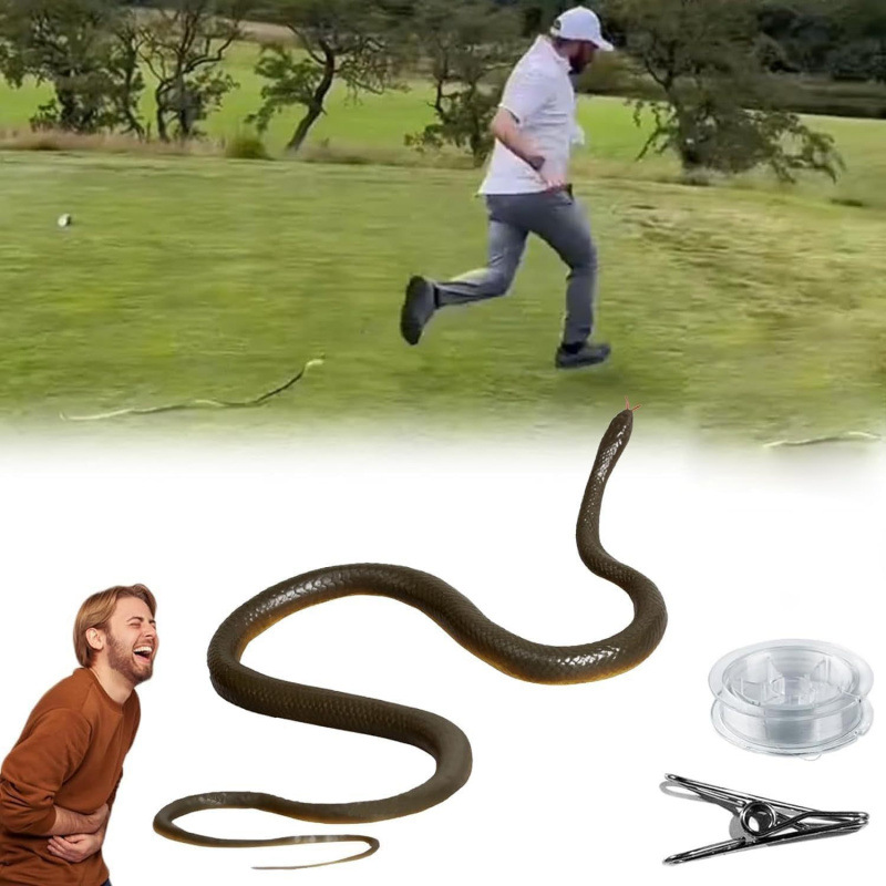Jouet de farce serpent extérie - Prank Toys avis et prix