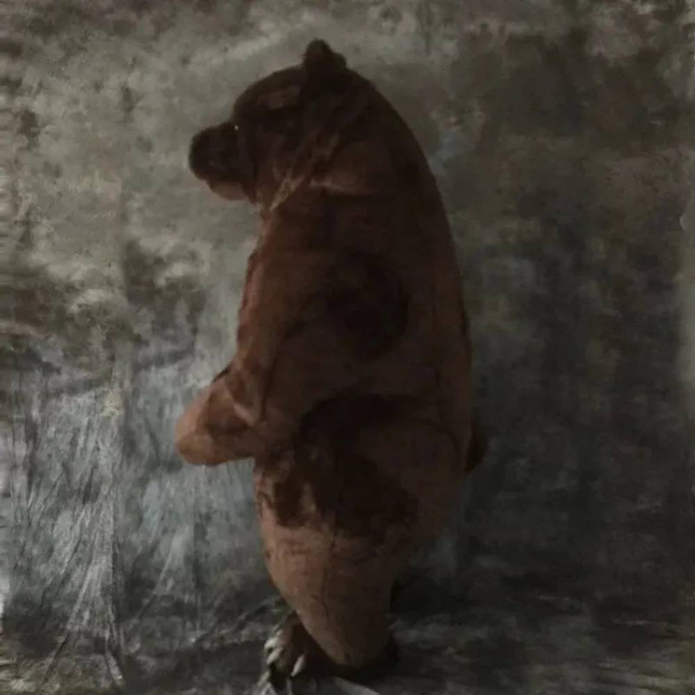 Costume de mascotte d'ours bru - Costumes avis et prix